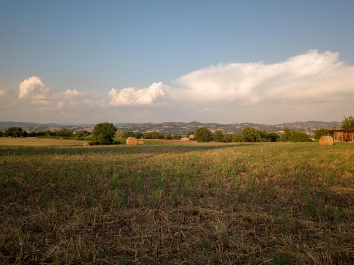 Agriturismo Consalvi Valentina Marsciano Bagian luar foto