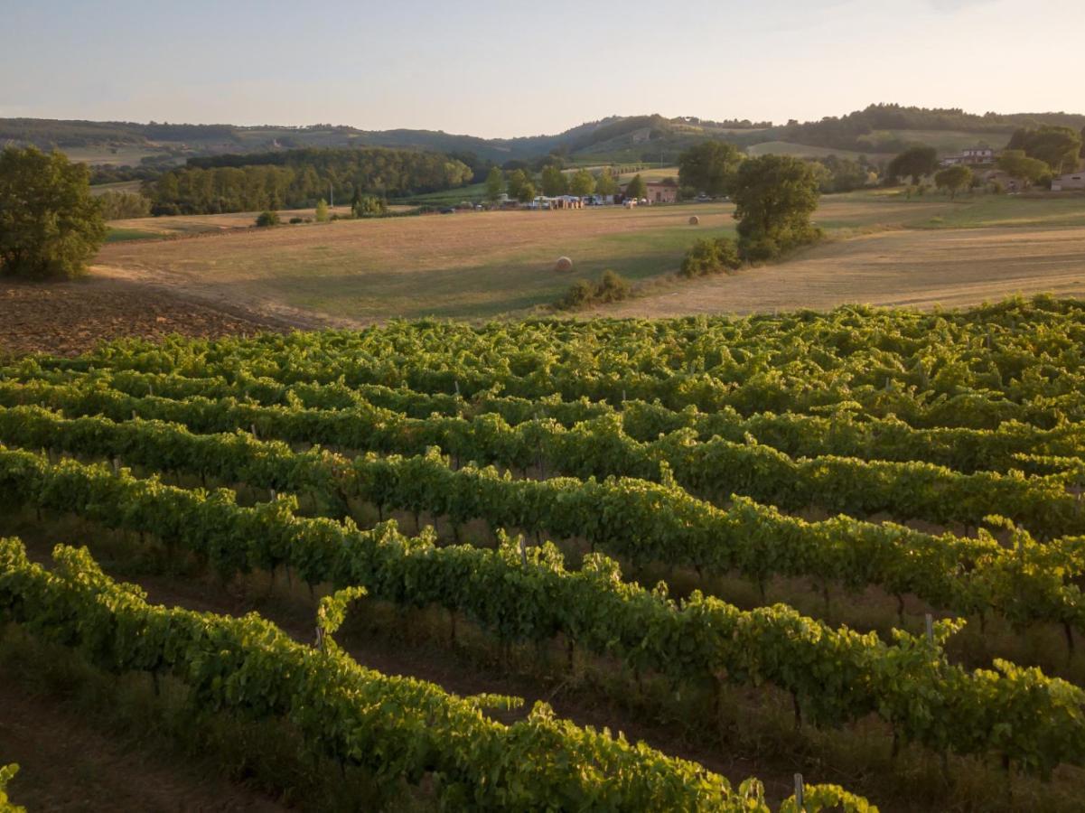 Agriturismo Consalvi Valentina Marsciano Bagian luar foto