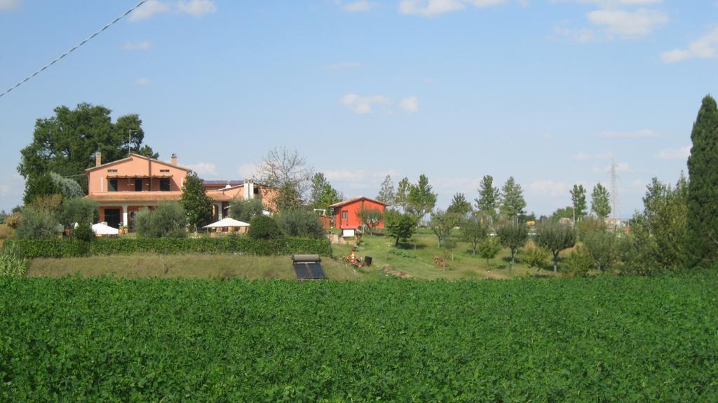 Agriturismo Consalvi Valentina Marsciano Bagian luar foto